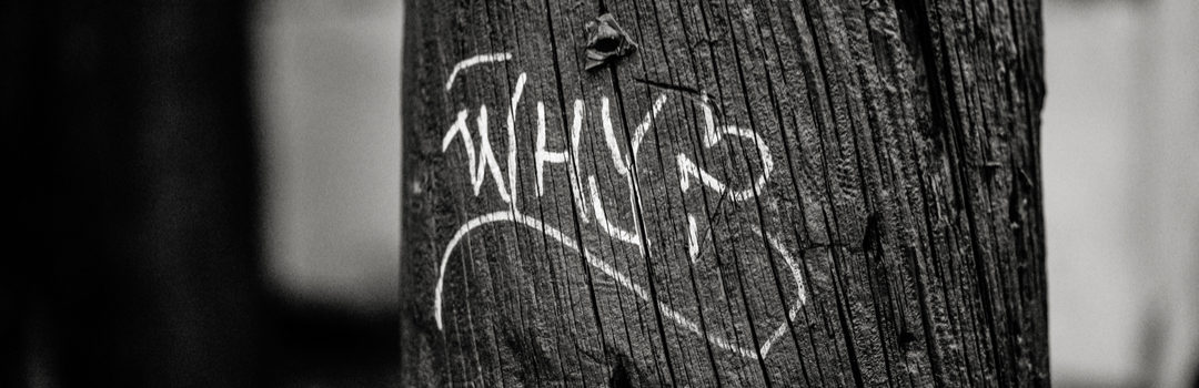 Our Search For Meaning Barn Life Recovery Love Life Again