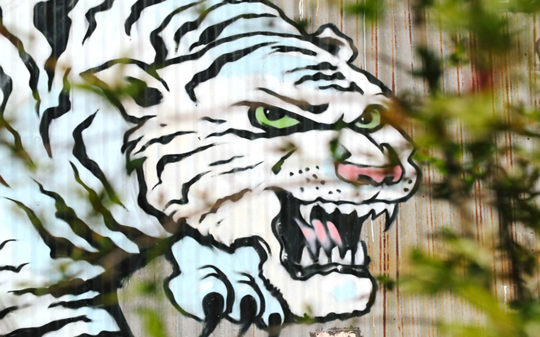 Protected: Wednesday 6/24/20 Art Prompt #15