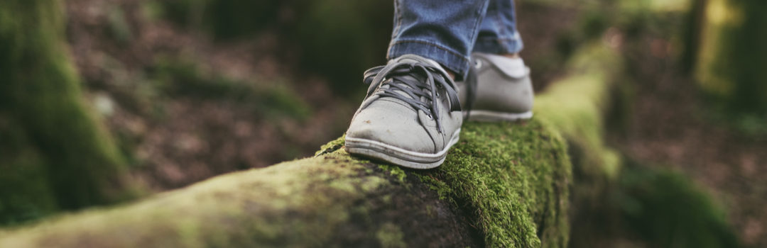 Weekly Theme: Fear and Self-Doubt