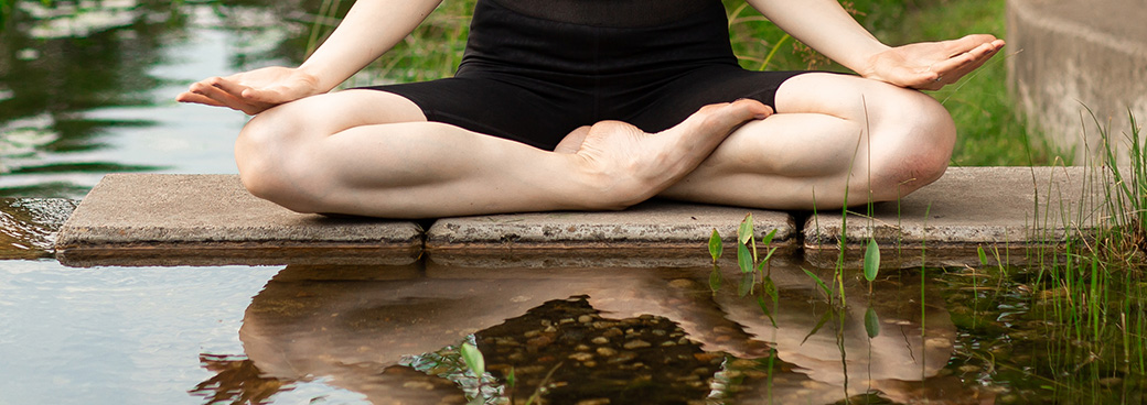 Reflection: Reinvigorating the Seeds of the Future