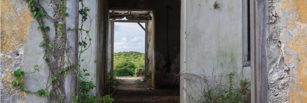 The Soul at the Threshold of Adulthood