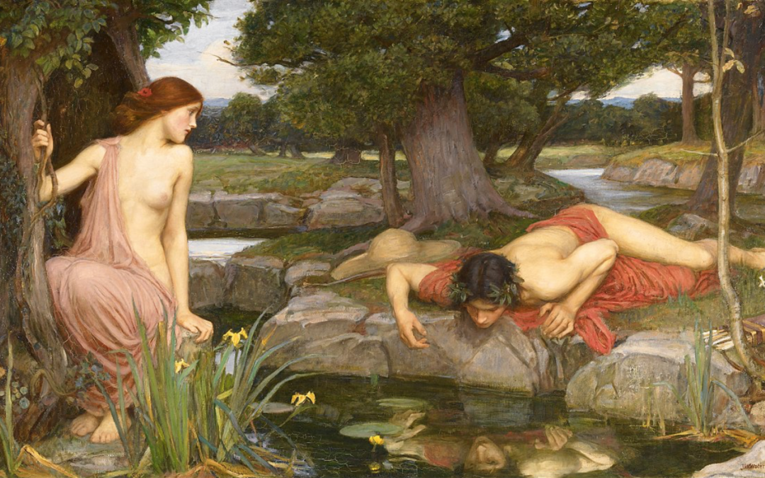 Weekly Theme: Giant Narcissus