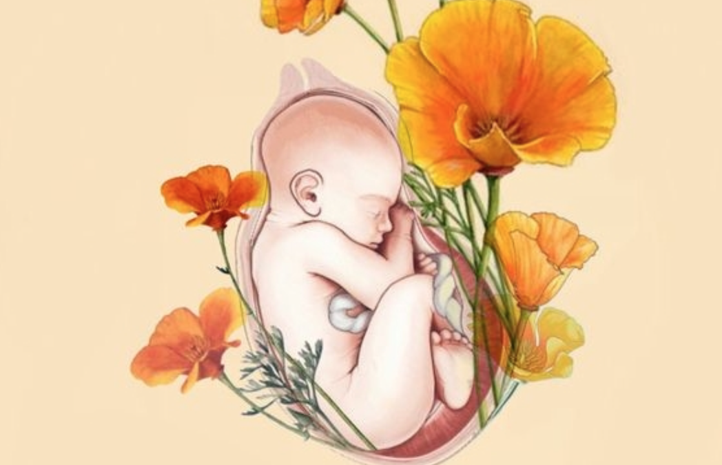 Weekly Theme: the Sacral Chakra