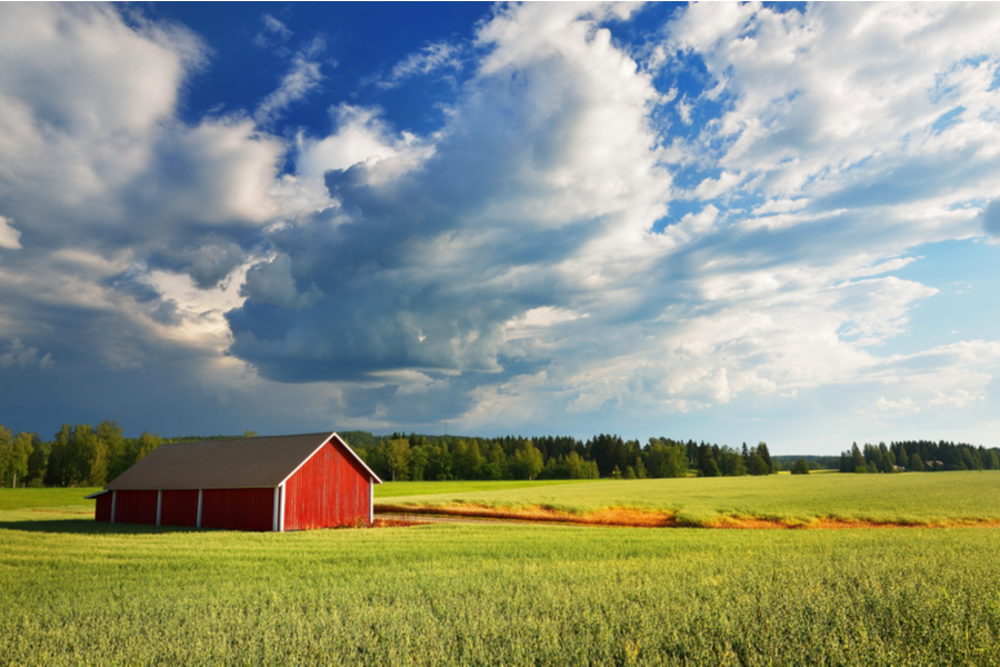 Our Future Selves - A barn and a fertile field under a blue sky