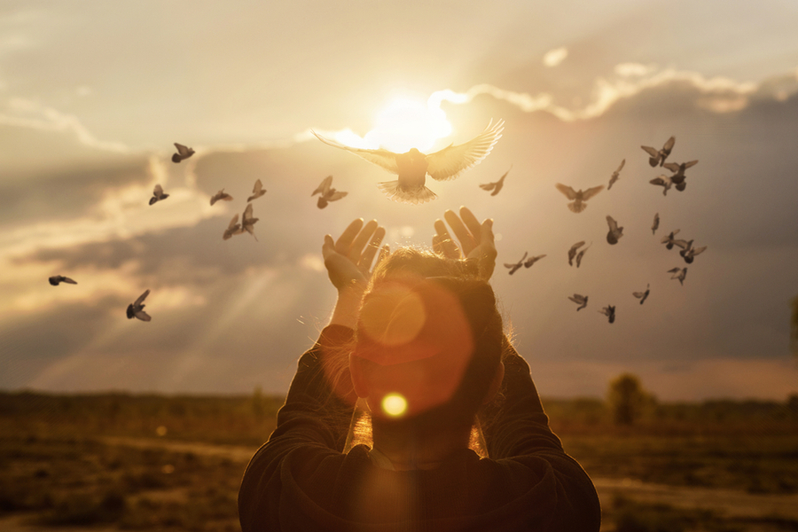 Weekly Theme: Forgiveness and Resentment